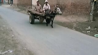 Funny