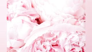 Beautiful flowers video
