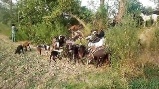 Video bahut acchi video bani