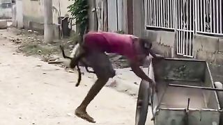 Вот это прикол