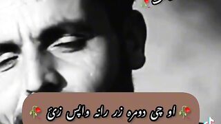 Pashto poetry
