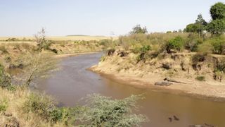 Hunting and being hunted in Kenya's Masai Mara.