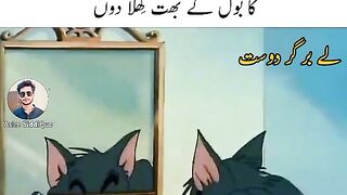 Funny video