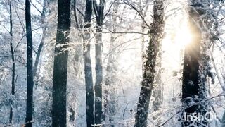Snow falling