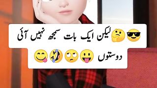 funny videos