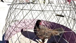Murghion ko ek jaga se dusri jaga muntaqil krny ki ehtiati tadabeer