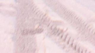 Snow ????‍????️????
