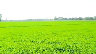 Best view of Village