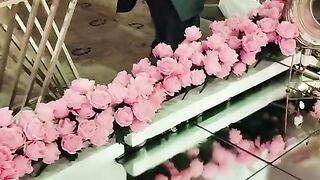 Weeding Stage 2023