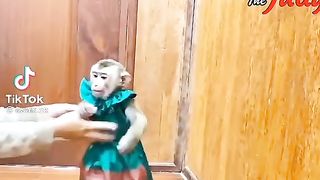 Funny video