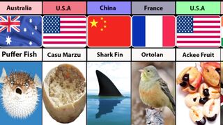 Banned Food Items From Different Countries