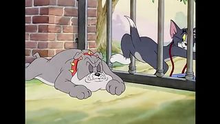 Cartoon for kids (tom &jerry