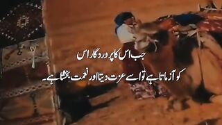 Qur'an describe everything please watch it completely