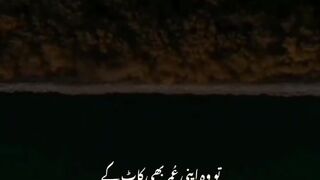 Bapp ka payar eolaad kalya
