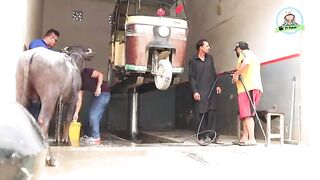 Animal Service Station Prank By Nadir Ali In P 4 Pakao 2021