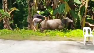 Funny videos part 2 ????????????????