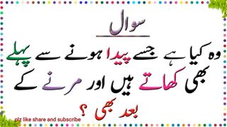 Knowledge