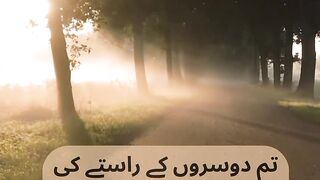 Urdu quotes