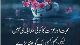 Video call on mobile screen your name