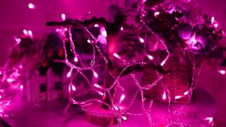 Valentines Day Decor Lights