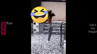 TRY NOT TO LAUGH ???? Best Funny Videos Compilation ????????????