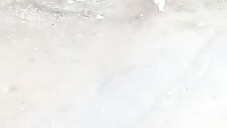 Amazing white cat in the world