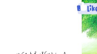 حضرت شعیب علیہ السلام کی قوم پر تین عذاب