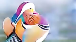Beautiful video ????