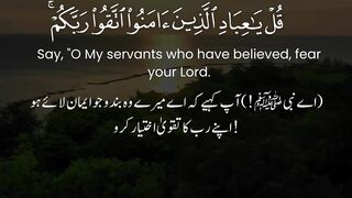 Pyara islam