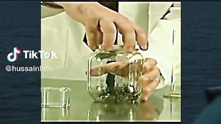 Experiment about bees