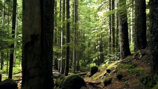 Relaxing Music Video 7