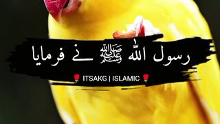 Hadees Mishkat Shareef 33 ????| Hadees of Mishkat Shareef