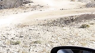 Traveling Highlights..