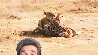 Might is right in jungle