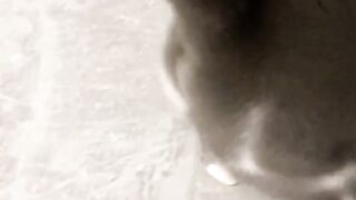 Funny Animal, funny cats compilation