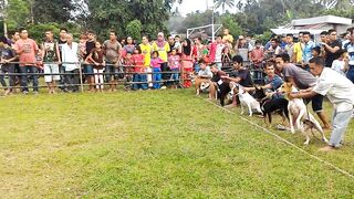 Pacu anjing taeh baruah kubugadang(720P_HD).