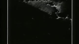 Michael jackson (Official Video)