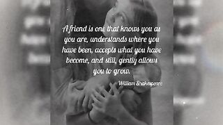 Friendship