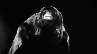 Michael Jackson - Ghost (Official Video - Shortened Version)