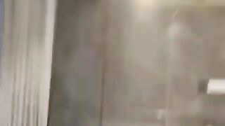 Cute Cats And Dogs Video ????Funniest Cats And Dogs ???? Animals Videos