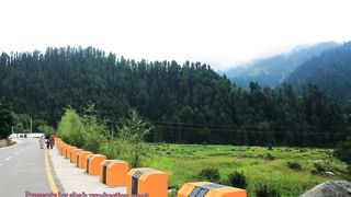 Relaxing beautiful nature