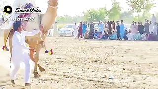 #Entertainment