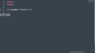 Input Type Numbers in html