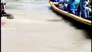 Funny Prank,  Horse Fall in the river