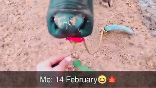 14 FEBRUARY KO MERA KAM????????????????