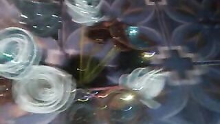 Magical Flowers 2023