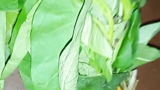Village veg food