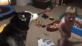 Child fun with dog