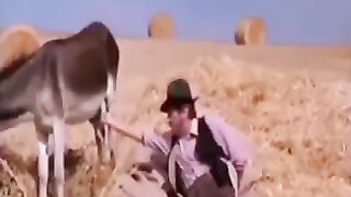 Funny video