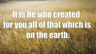 Surah Al-Baqarah - سورة البقرہ  Verse 29